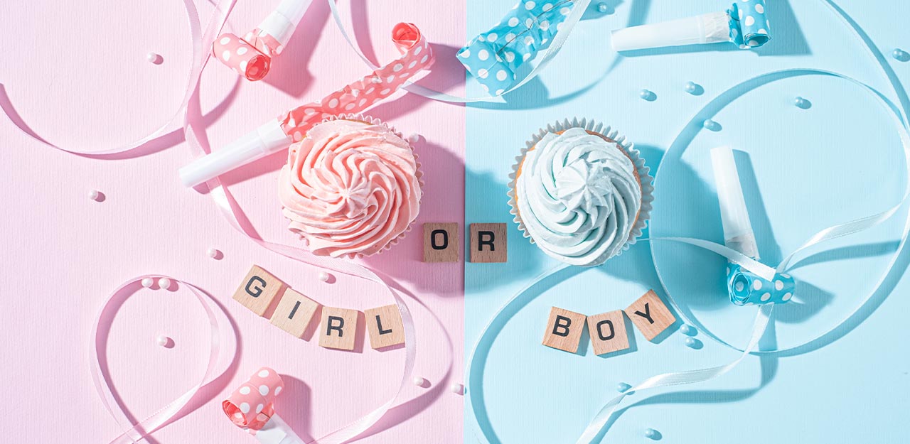 Gender reveal  Chá de revelação